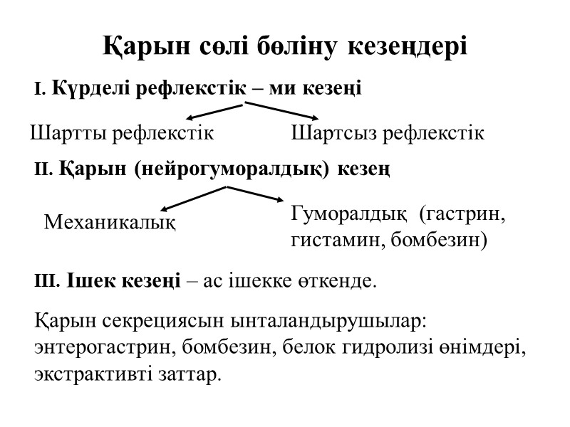 Қарын сөлі бөліну кезеңдері I. Күрделі рефлекстік – ми кезеңі III. Ішек кезеңі –
